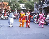 florida14.jpg (14721 bytes)